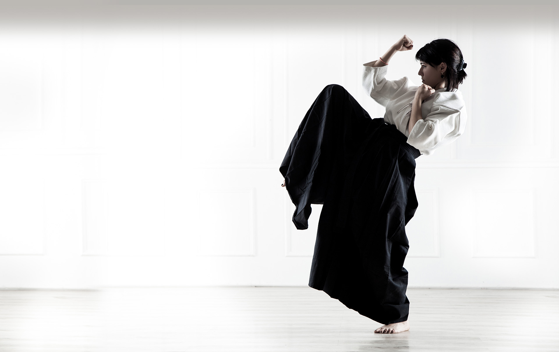 aikido 2