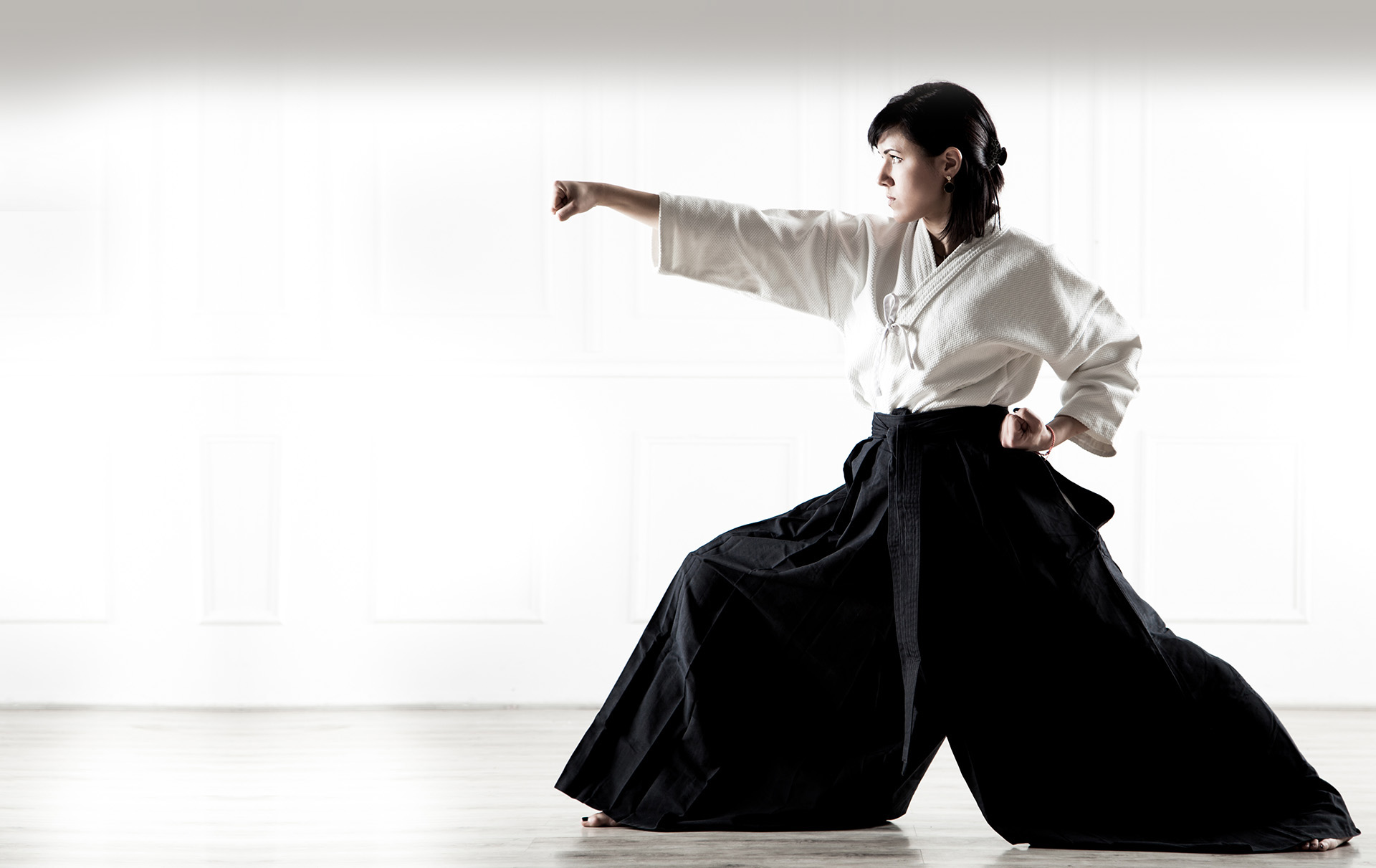 aikido 3